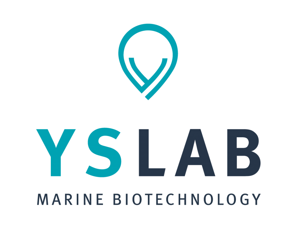 YSLAB - Logo V